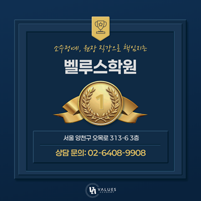 벨루스학원
