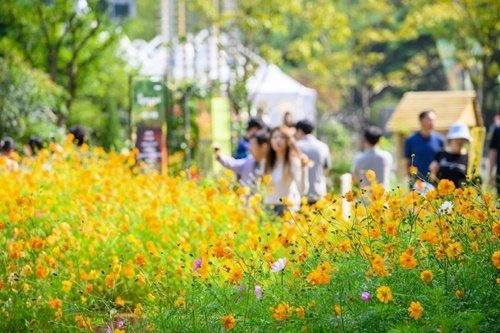 고양시 축제
