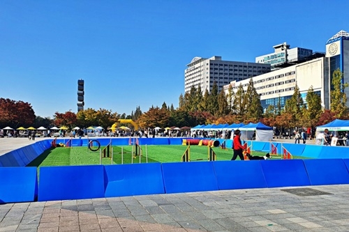 축제 프로그램