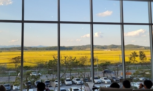 고양 파주 지역 대형카페