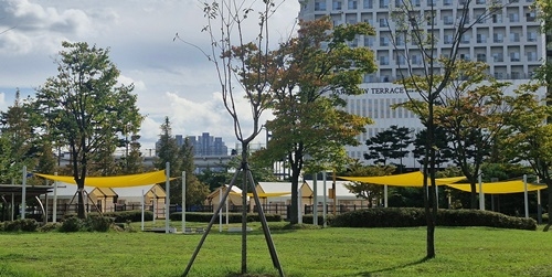 운정호수공원 피크닉장